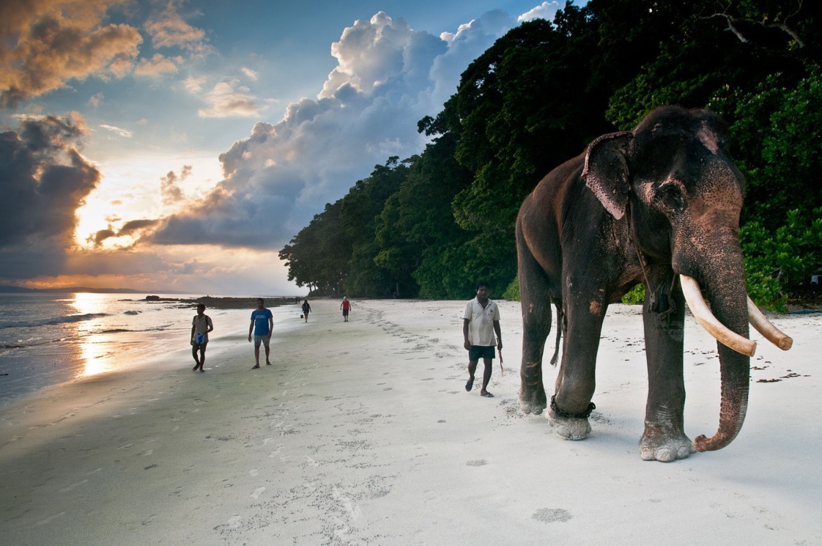 Day 03: Port Blair -Havelock Island 